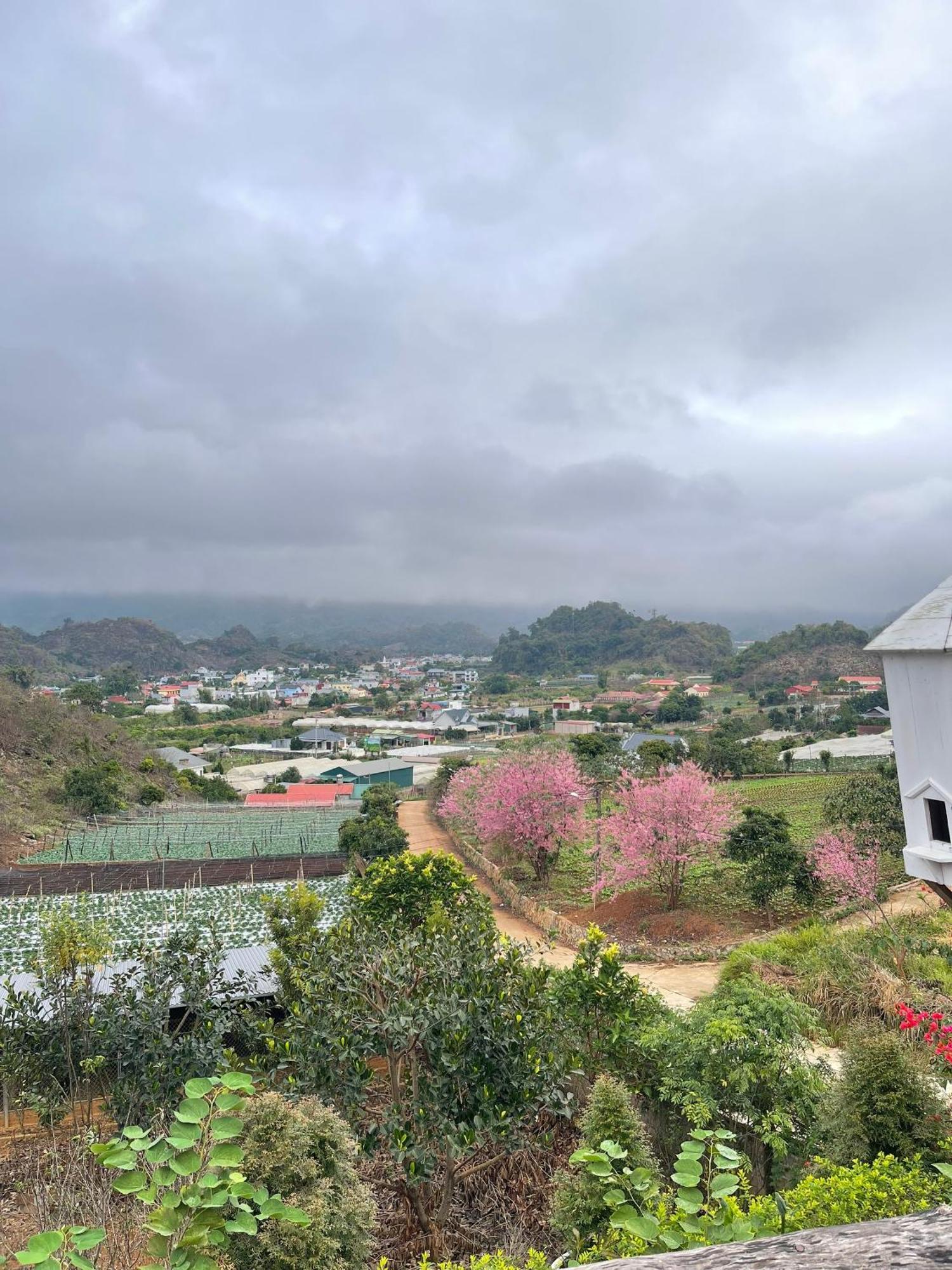 Doi Thong Homestay Moc Chau - By Bay Luxury Son La Exterior photo